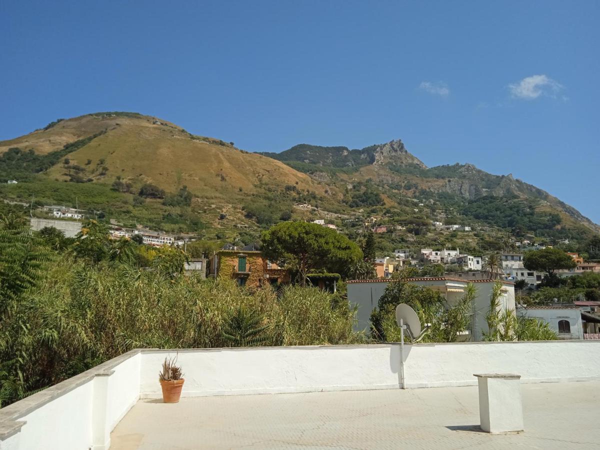 Villa Thomas Bb Conduzione Familiare Forio di Ischia エクステリア 写真
