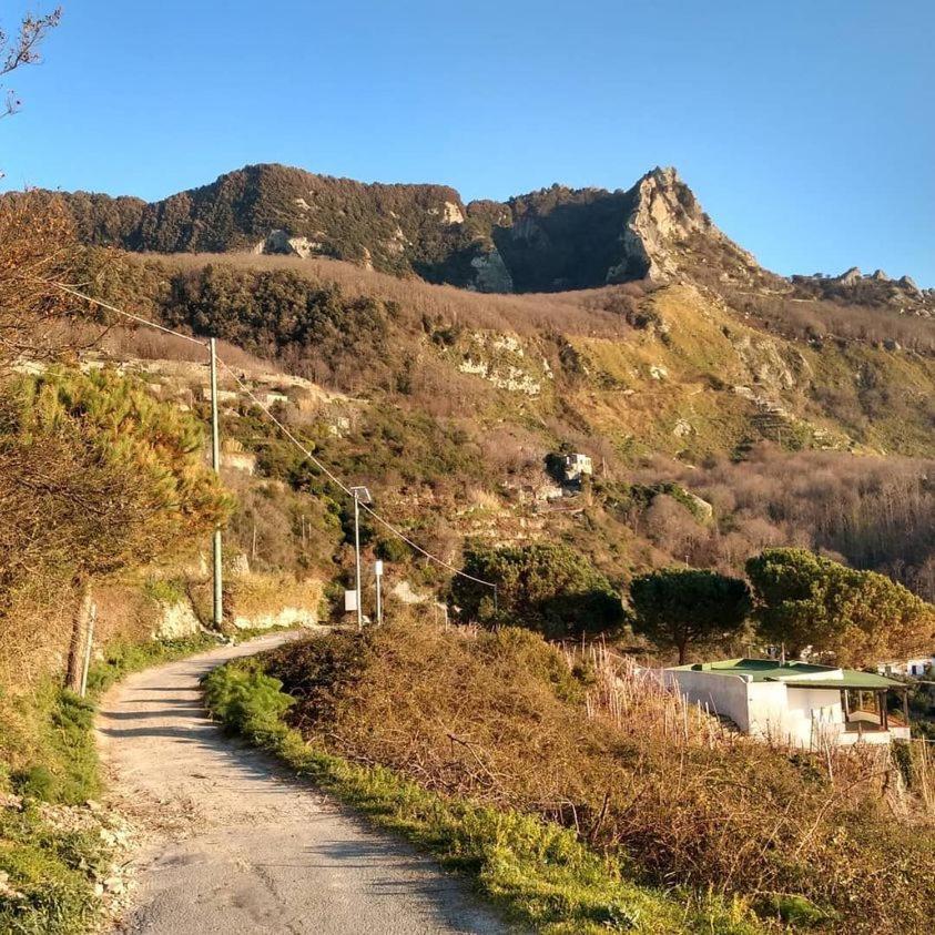 Villa Thomas Bb Conduzione Familiare Forio di Ischia エクステリア 写真