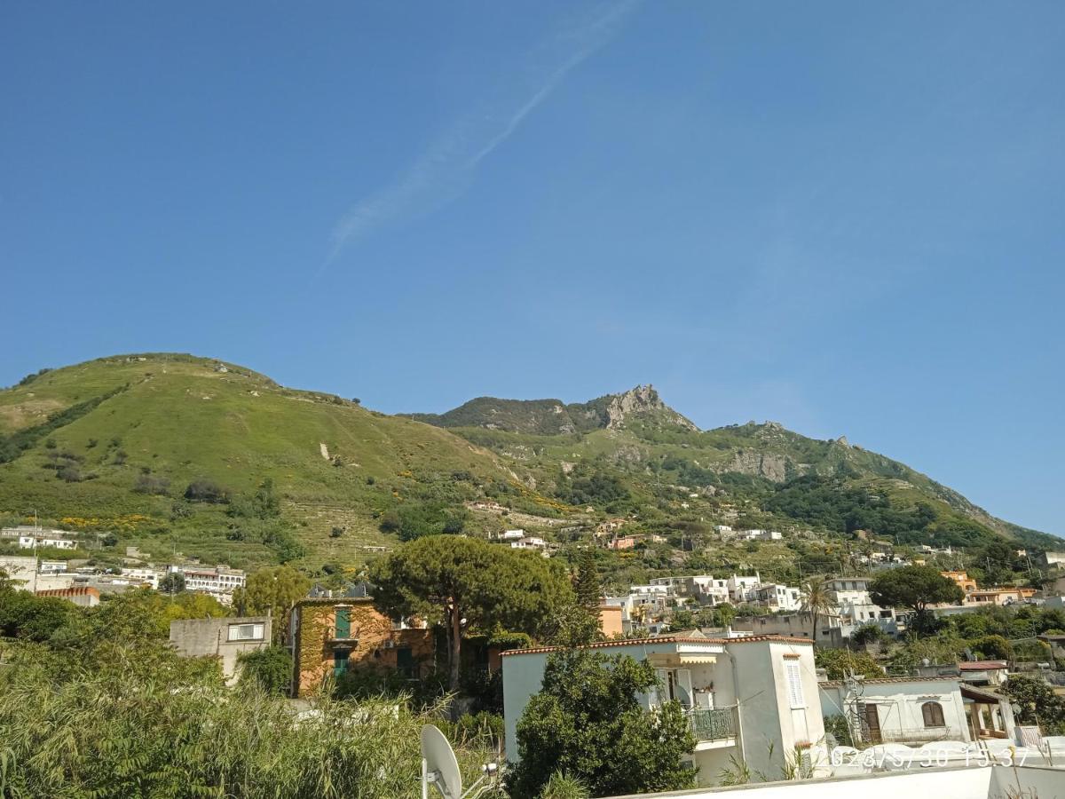 Villa Thomas Bb Conduzione Familiare Forio di Ischia エクステリア 写真