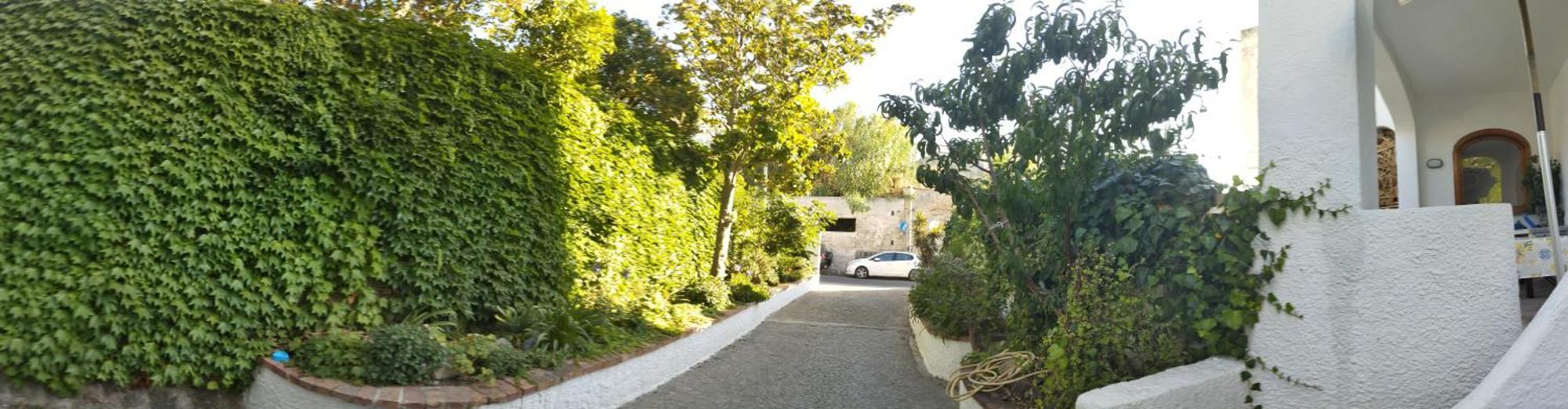 Villa Thomas Bb Conduzione Familiare Forio di Ischia エクステリア 写真