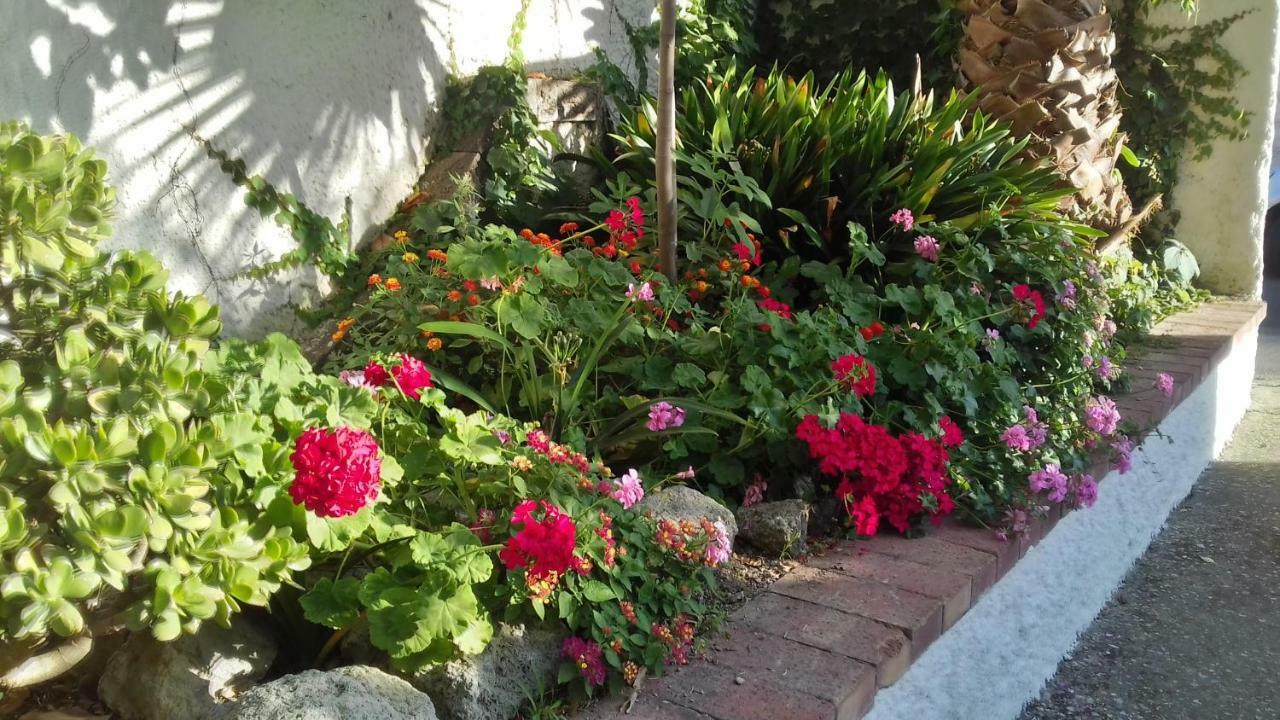 Villa Thomas Bb Conduzione Familiare Forio di Ischia エクステリア 写真